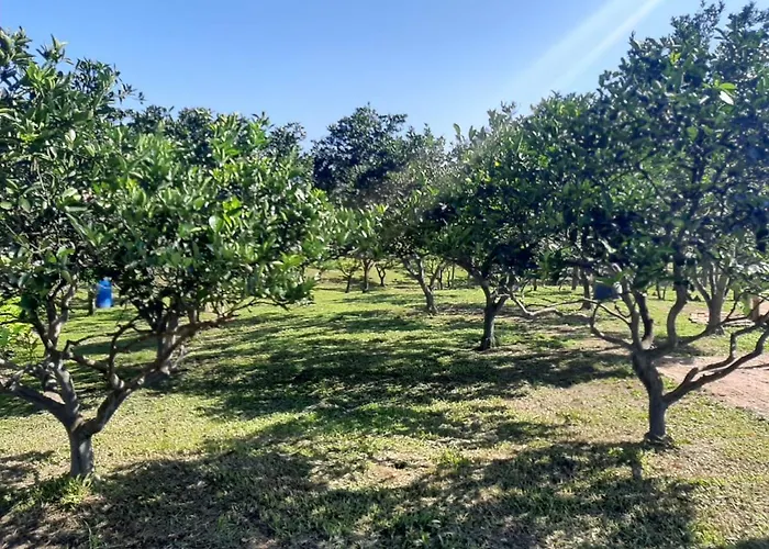 Casa Di Pecora - Pousada Rural